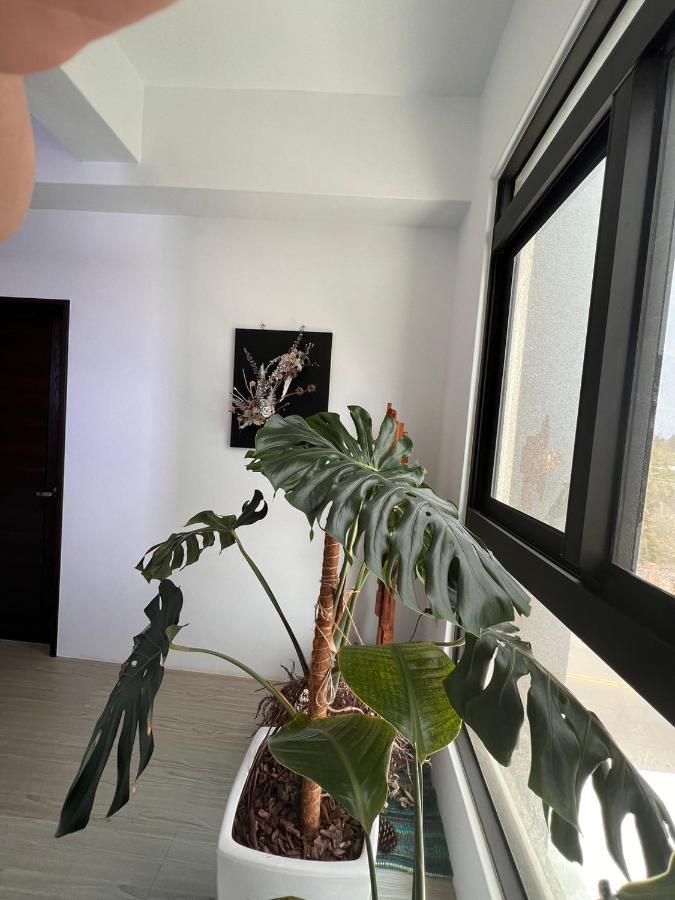 The Bird'S Nest B&B 馬公市 エクステリア 写真